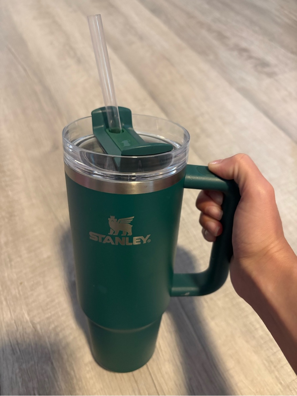 Stanley Green Insulated Travel Tumbler with Handle and Straw